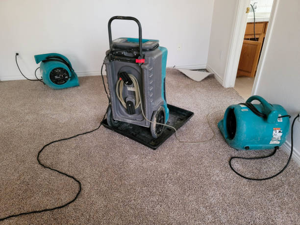 Best Flooded house restoration  in Golden Valley, AZ