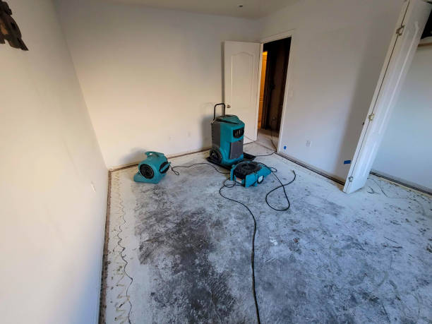 Best Sewage cleanup and water damage restoration  in Golden Valley, AZ
