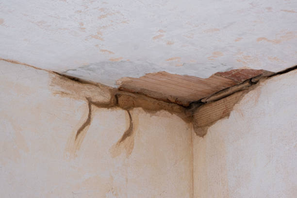  Golden Valley, AZ Water damage restoration Pros