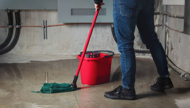 Best Carpet water damage restoration  in Golden Valley, AZ