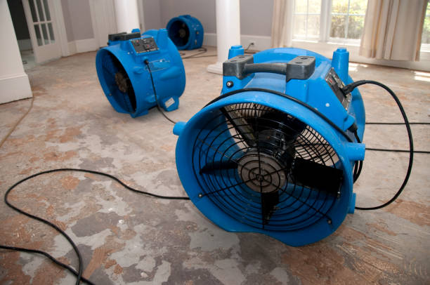 Best Water damage restoration services  in Golden Valley, AZ