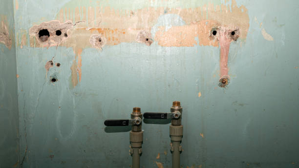 Best Flood restoration services  in Golden Valley, AZ