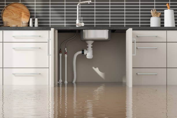 Best Residential water damage restoration  in Golden Valley, AZ