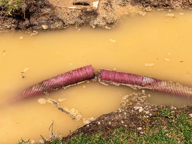 Best 24-hour water damage restoration  in Golden Valley, AZ